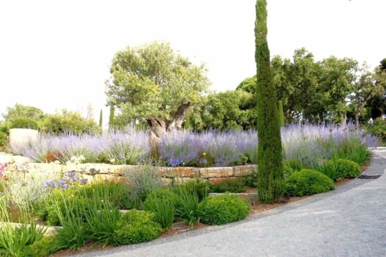 Jardin méditerranéen avec essences locales réalisé par DécoJardins dans le Var
