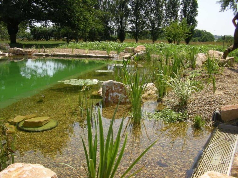 Aménagement de jardin avec bassins naturels par DécoJardins dans le Var
