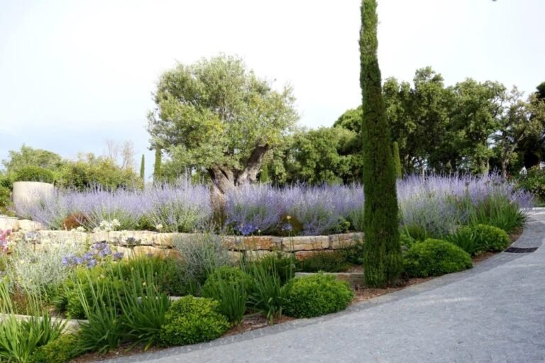 Aménagement paysager par DécoJardins – projet 1