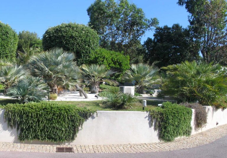 Jardin exotique aménagé par DécoJardins dans le Var