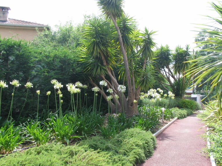Jardin provençal conçu par DécoJardins dans le Var