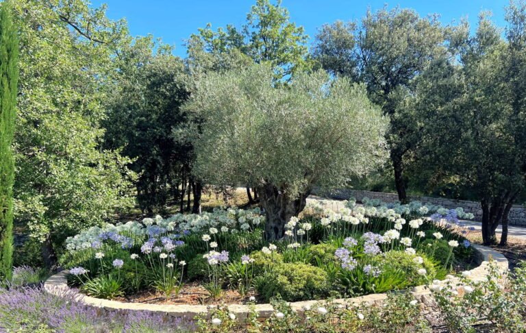Jardin provençal aménagé par DécoJardins dans le Var