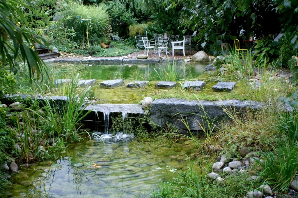 Bassins naturels dans un jardin – création signée DécoJardins